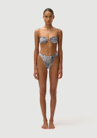 Corey Bottom | Zebra