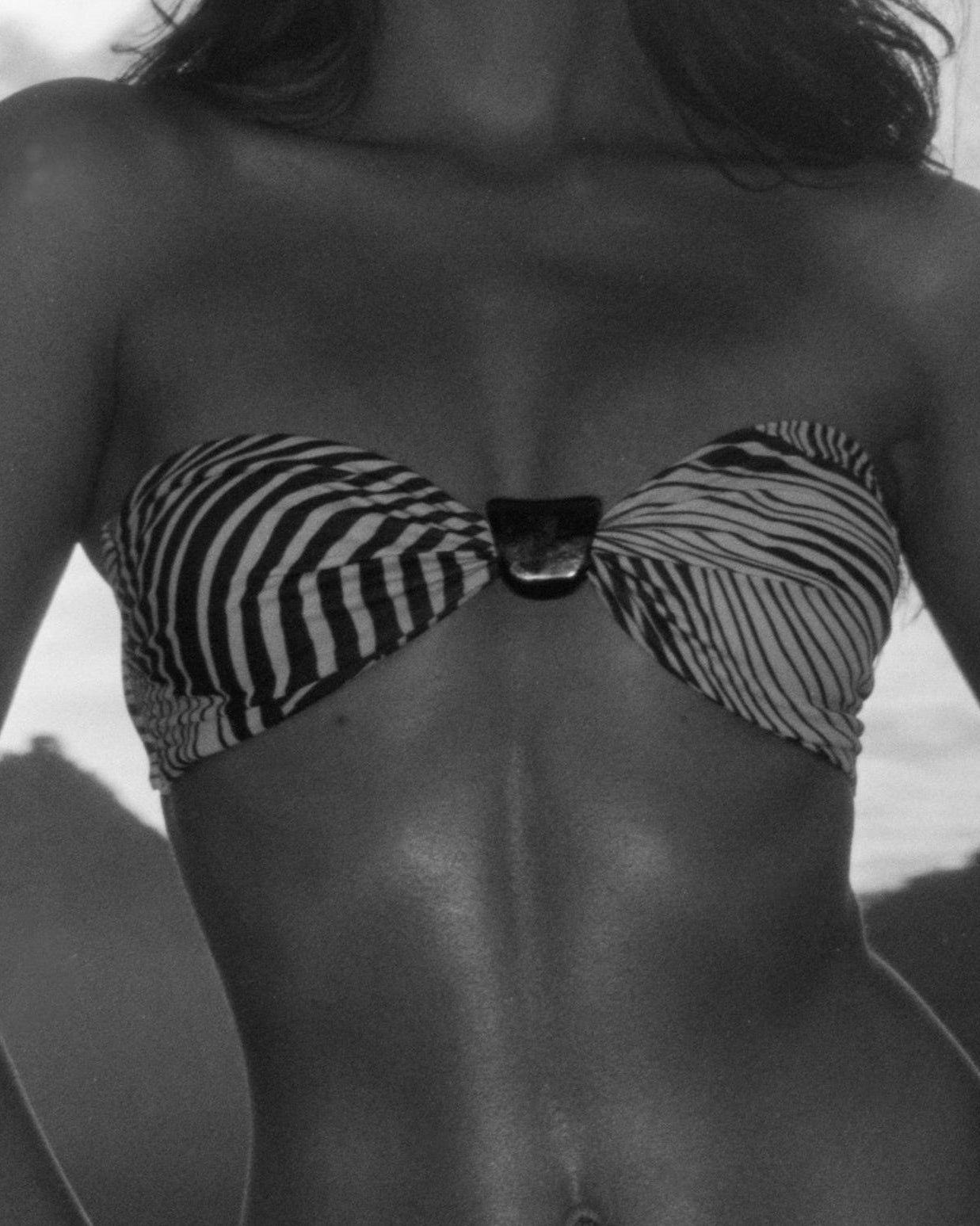 Eli Top | Zebra