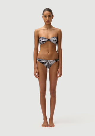 Digby Bottom | Zebra