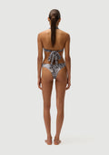 Chad Bottom | Zebra