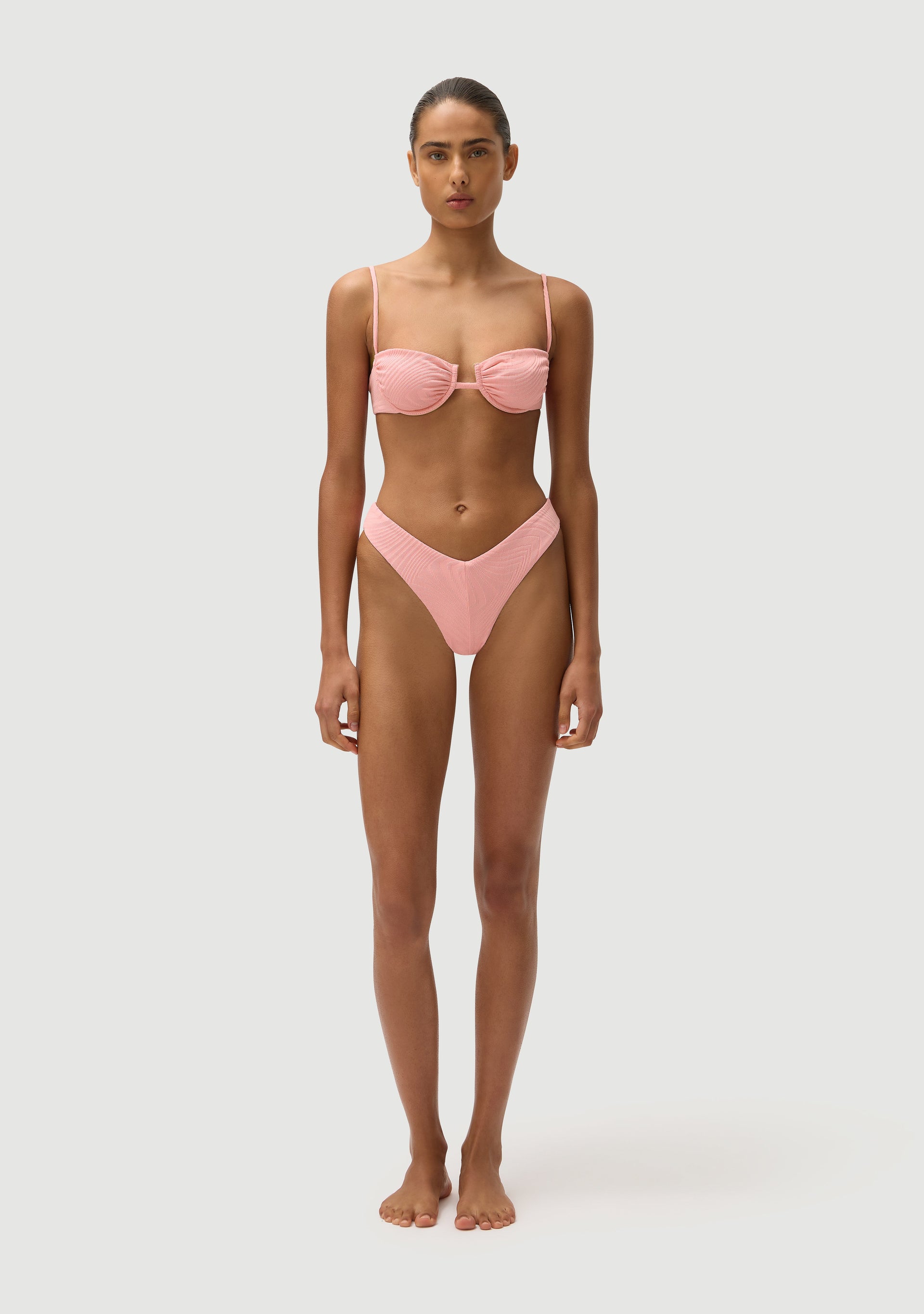 Chad Bottom | Orchid