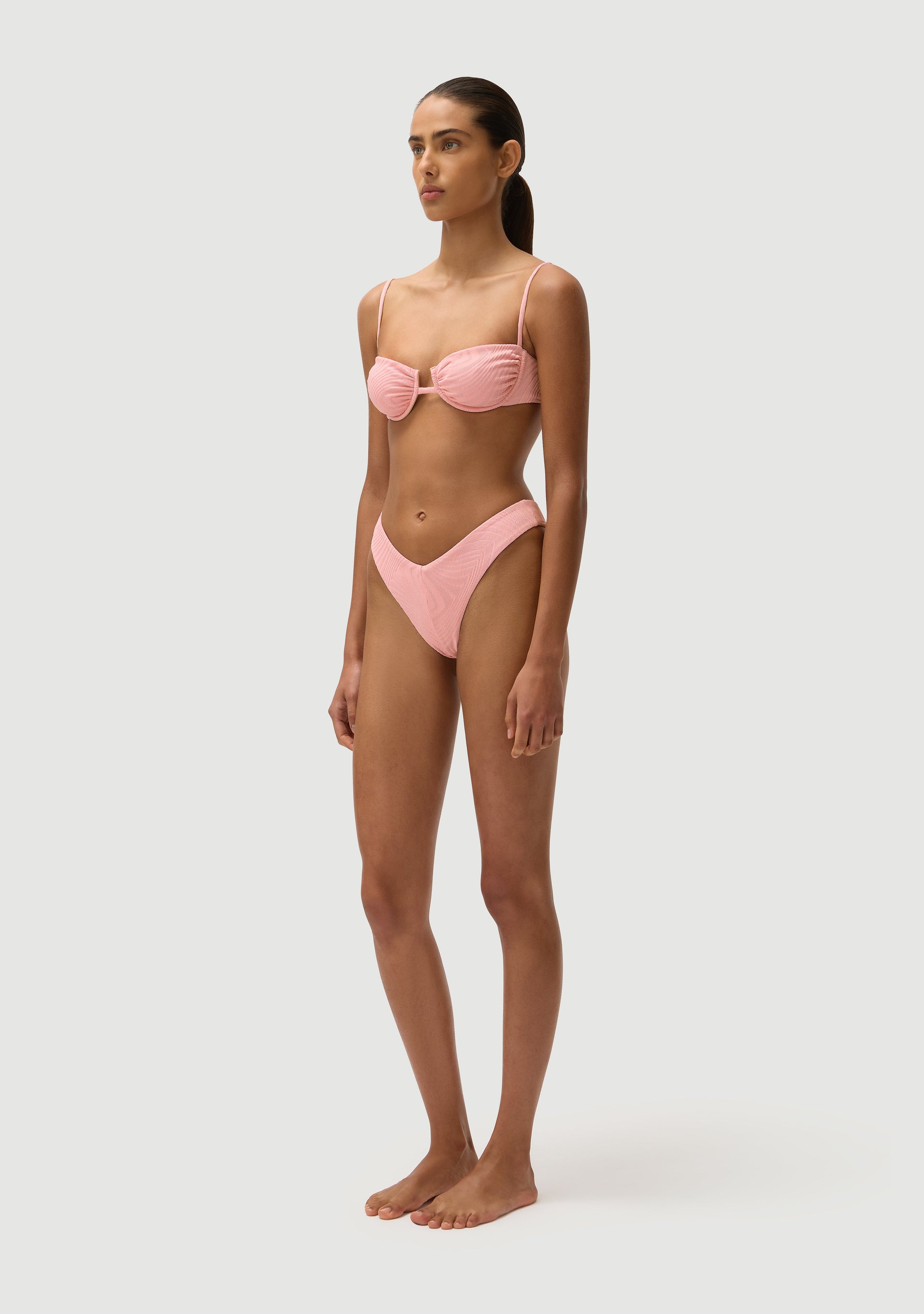 Chad Bottom | Orchid