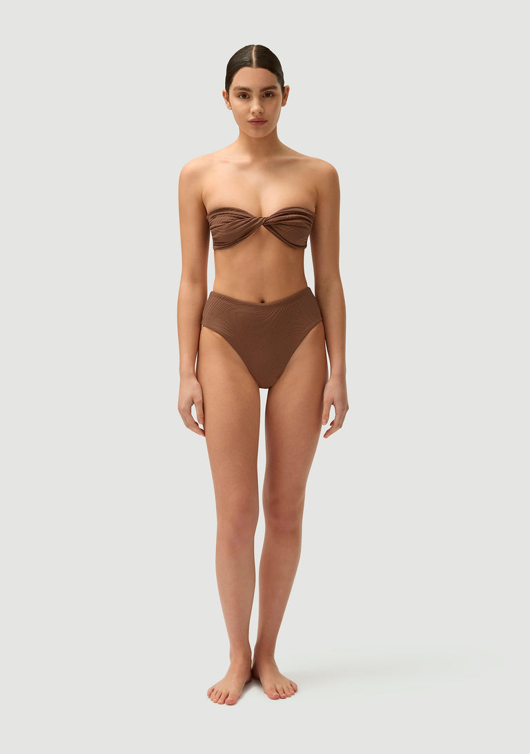 Bernie Top | Pinecone