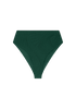 Brian Bottom | Botanical