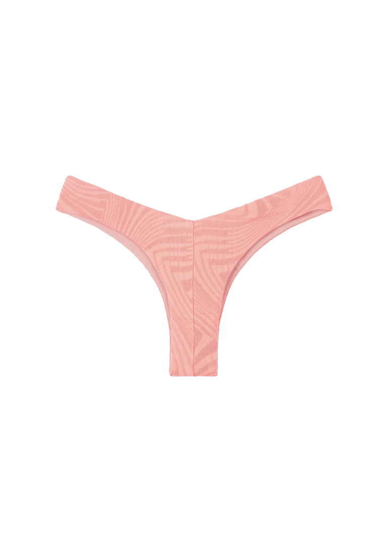 Chad Bottom | Orchid