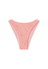 Elvis Bottom | Orchid