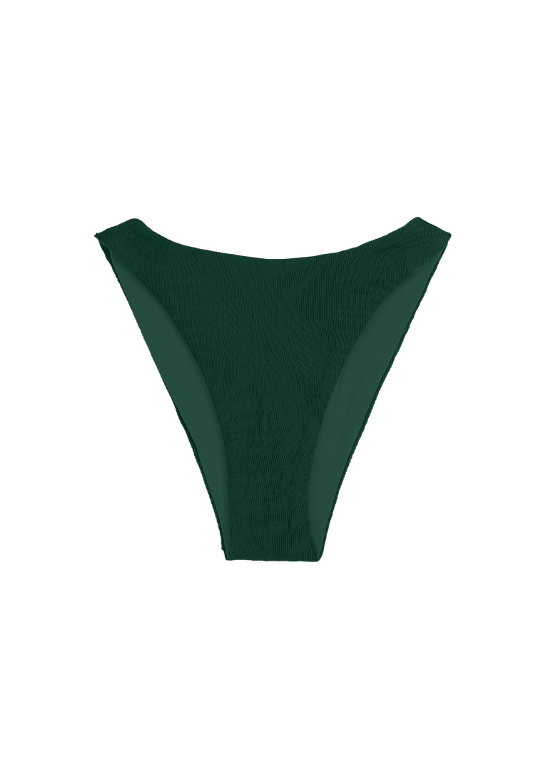 Elvis Bottom | Botanical