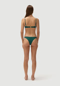 Mr Smith Bottom | Botanical