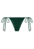 Marcus Bottom | Botanical