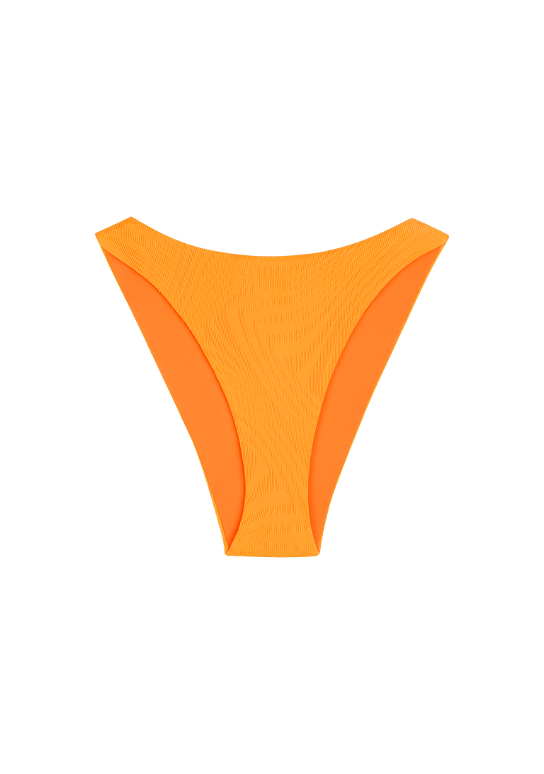 Elvis Bottom | Turmeric